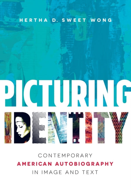 Picturing Identity  Contemporary American Autobiography in Image and Text