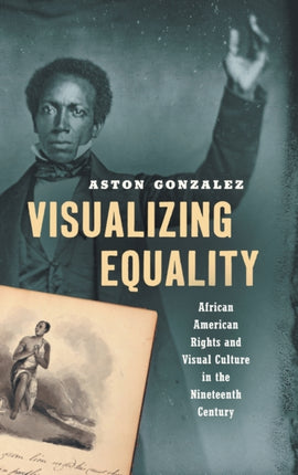 Visualizing Equality  African American Rights and