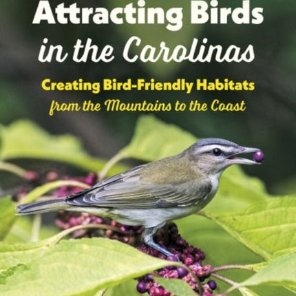 Attracting Birds in the Carolinas: Creating Bird-Friendly Habitats from the Mountains to the Coast