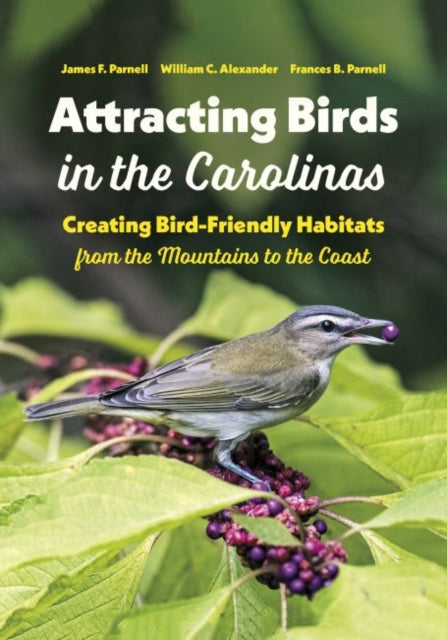 Attracting Birds in the Carolinas: Creating Bird-Friendly Habitats from the Mountains to the Coast