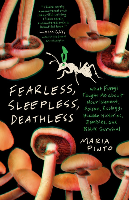 Fearless Sleepless Deathless