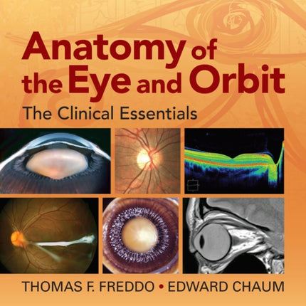 Anatomy of the Eye and Orbit: The Clinical Essentials