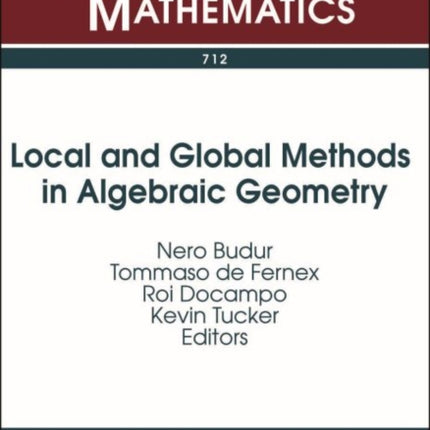 Local and Global Methods in Algebraic Geometry