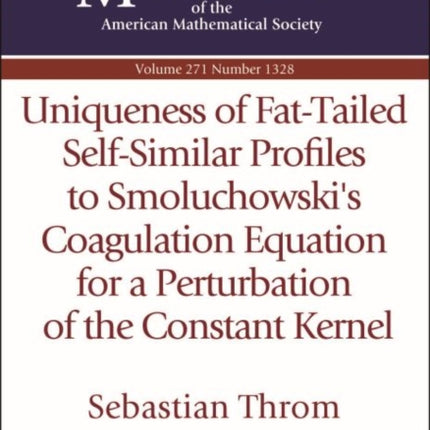Uniqueness of FatTailed SelfSimilar Profiles to