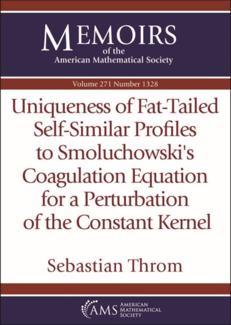 Uniqueness of FatTailed SelfSimilar Profiles to