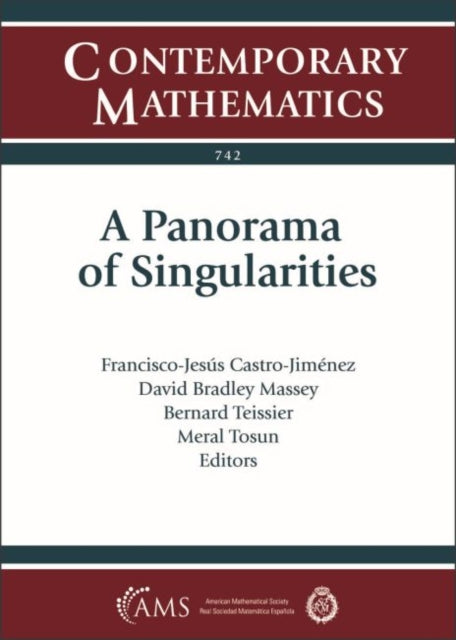 A Panorama of Singularities