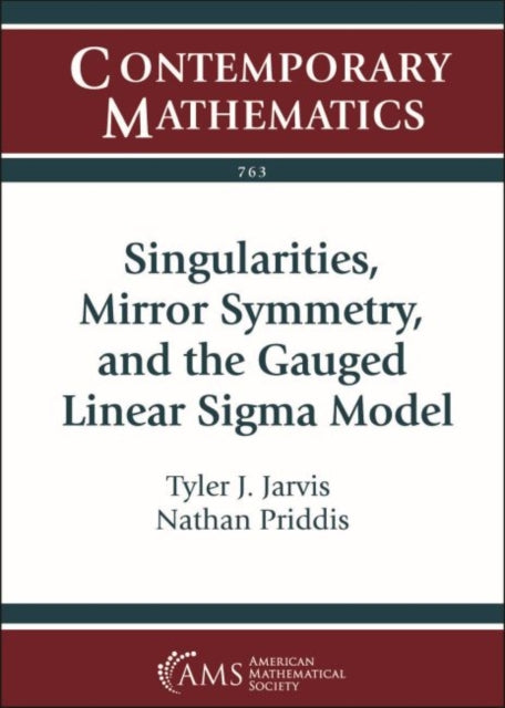 Singularities Mirror Symmetry and the Gauged