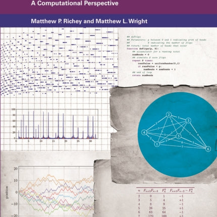 Experimental Mathematics  A Computational Perspective