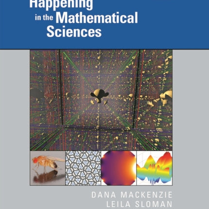 Whats Happening in the Mathematical Sciences  Volume 13