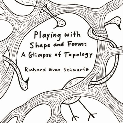 Playing with Shape and Form  A Glimpse of
