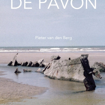 De ramp met de Pavon