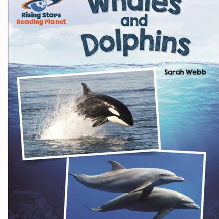 Reading Planet - Whales and Dolphins - White: Galaxy