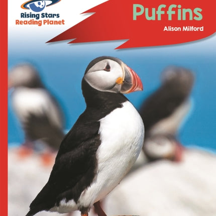 Reading Planet - Puffins - Red A: Rocket Phonics