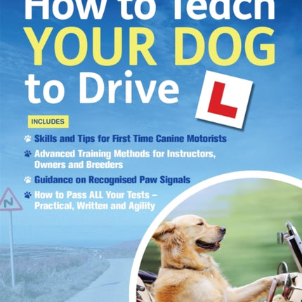 How to Teach your Dog to Drive