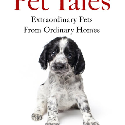 Pet Tales: Extraordinary Pets From Ordinary Homes