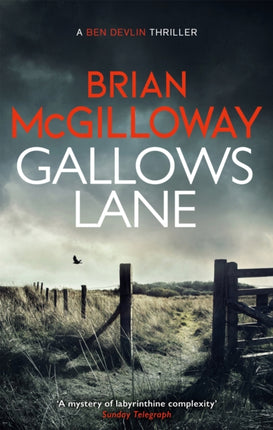 Gallows Lane: An ex con and drug violence collide in the borderlands of Ireland...