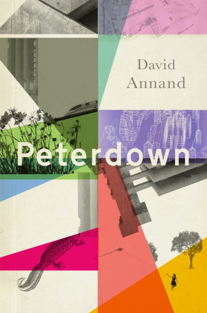 Peterdown: An epic social satire, full of comedy, character and anarchic radicalism