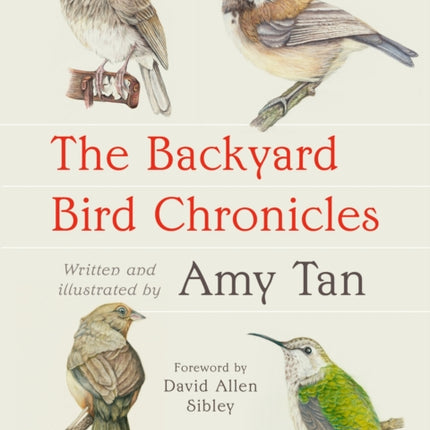 The Backyard Bird Chronicles