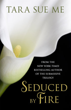 Seduced By Fire A Partners In Play Novel