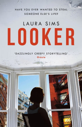 Looker: 'A slim novel that has maximum drama'