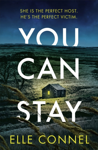 You Can Stay: The chilling, heart-stopping new thriller