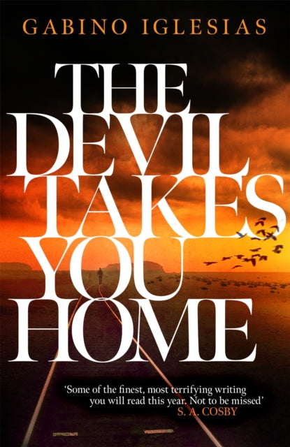 The Devil Takes You Home: the acclaimed up-all-night thriller