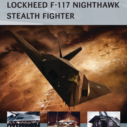 Lockheed F117 Nighthawk Stealth Fighter