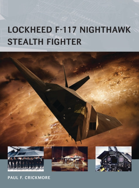 Lockheed F117 Nighthawk Stealth Fighter