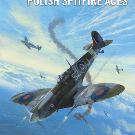 Polish Spitfire Aces