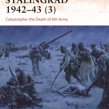 Stalingrad 1942–43 (3): Catastrophe: the Death of 6th Army