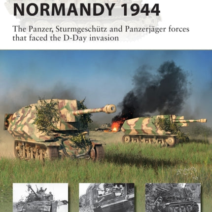 German Tanks in Normandy 1944: The Panzer, Sturmgeschütz and Panzerjäger forces that faced the D-Day invasion