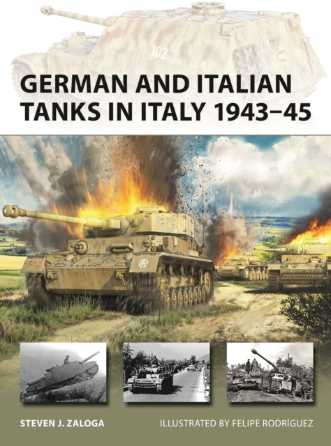German and Italian Tanks in Italy 194345
