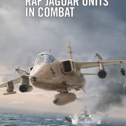 RAF Jaguar Units in Combat