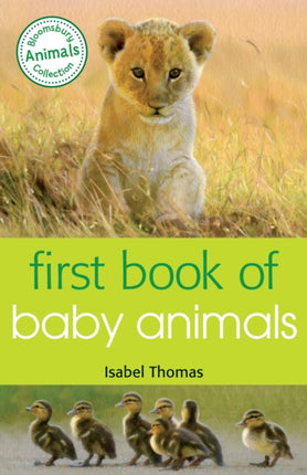 First Book of Baby Animals