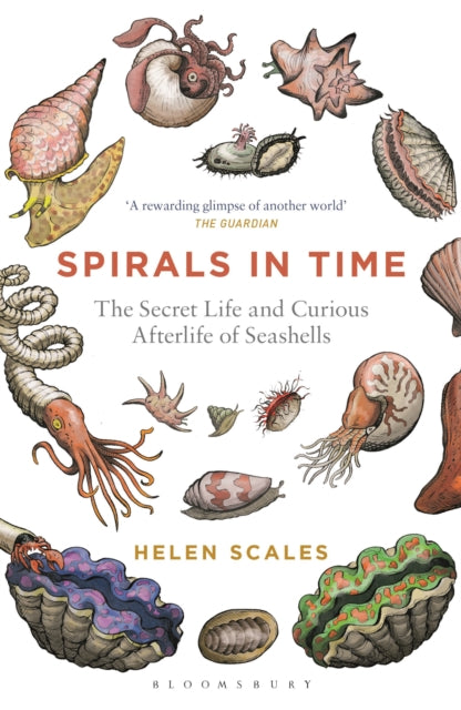 Spirals in Time: The Secret Life and Curious Afterlife of Seashells