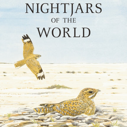 Nightjars of the World
