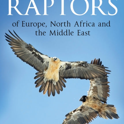 Flight Identification of Raptors of Europe, North Africa and the Middle East