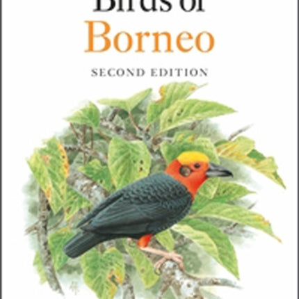 Birds of Borneo