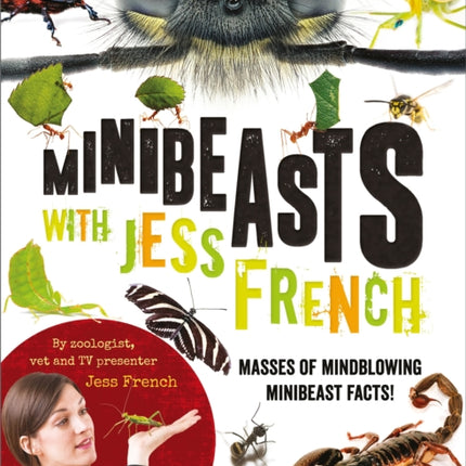 Minibeasts with Jess French: Masses of mindblowing minibeast facts!