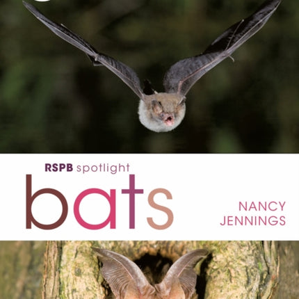 RSPB Spotlight Bats