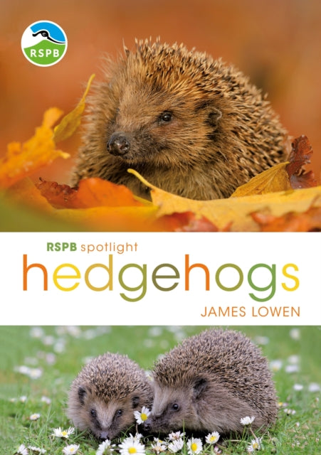 RSPB Spotlight Hedgehogs