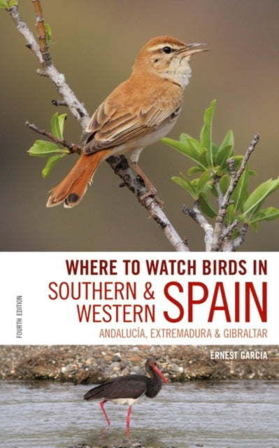 Where to Watch Birds in Southern and Western Spain: Andalucia, Extremadura and Gibraltar