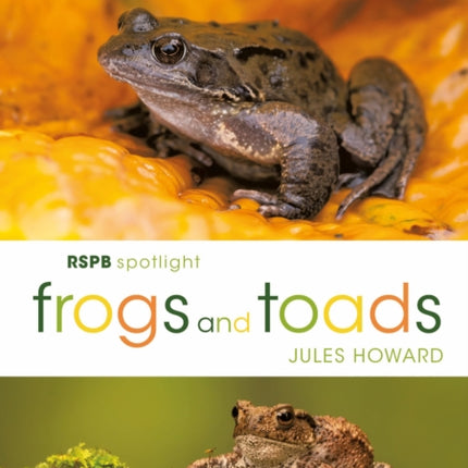 RSPB Spotlight Frogs and Toads