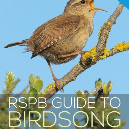 RSPB Guide to Birdsong