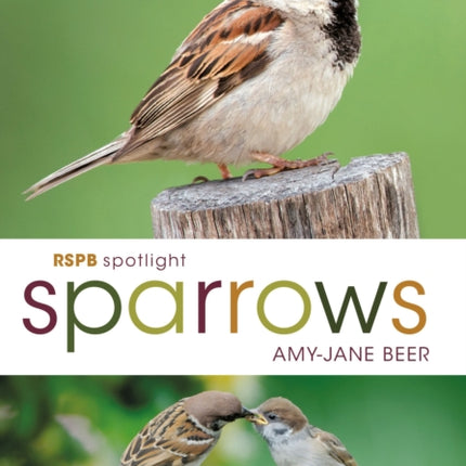 RSPB Spotlight Sparrows