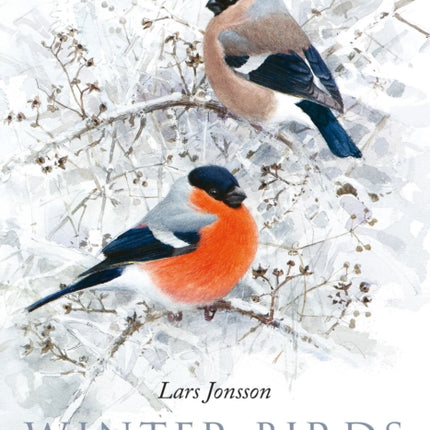 Winter Birds