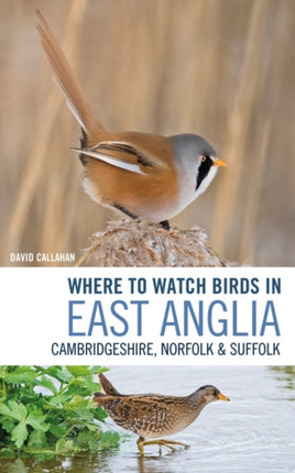 Where to Watch Birds in East Anglia: Cambridgeshire, Norfolk and Suffolk