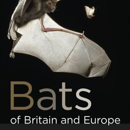 Bats of Britain and Europe