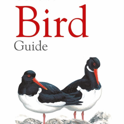 Concise Bird Guide