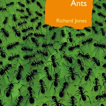 Ants: The ultimate social insects